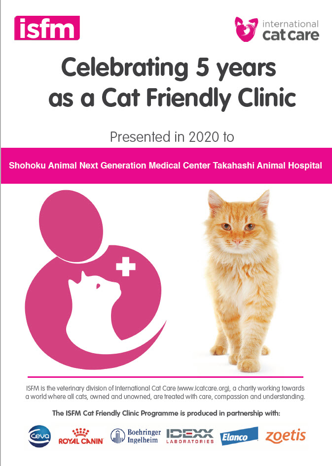国際ねこ医学会から キャットフレンドリークリニック ゴールド