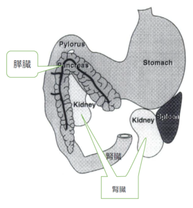 新 当院の特徴ある医療シリーズ １６】 ワンちゃんの慢性腎臓病に併発 