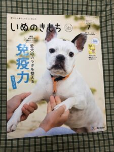 いぬのきもち7月号 の 特集記事 を監修致しました 大和市のct完備の動物病院 湘北どうぶつ次世代医療センター ctセンター いぬのきもち7月号 の 特集記事 を監修致しました 大和市のct完備の動物病院 湘北どうぶつ次世代医療センター ctセンター